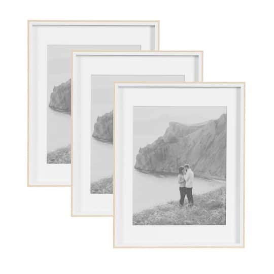 Kate and Laurel Gibson 14" x 18" Photo Frames with 11" x 14" Mat, 3ct.